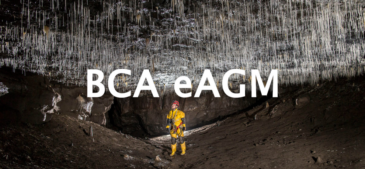 BCA_eAGM-1200x556.jpg
